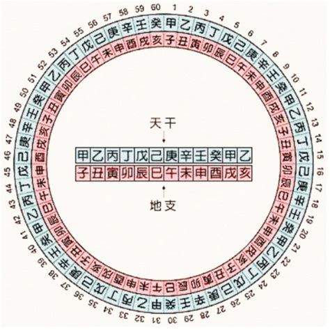 1977 天干地支|干支纪年对照表，天干地支年份对照表